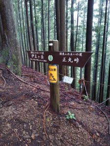 izugatake 039
