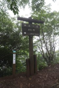 izugatake 045