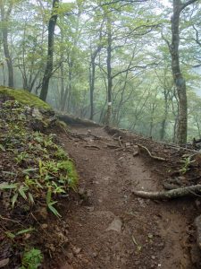 izugatake 052