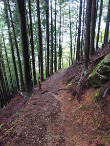izugatake 053