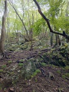 izugatake 054