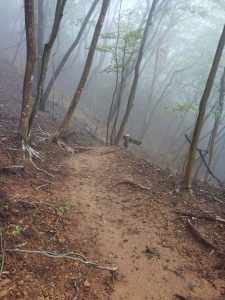 izugatake 058