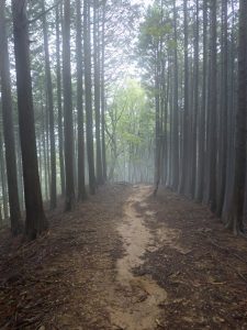 izugatake 060