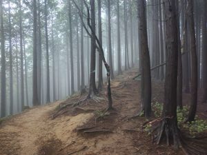 izugatake 061