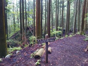 izugatake 069
