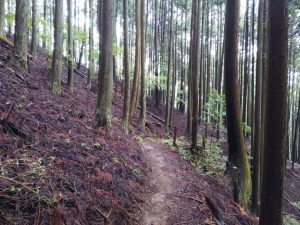 izugatake 070