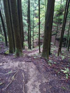 izugatake 073