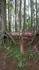 jimba takao 030