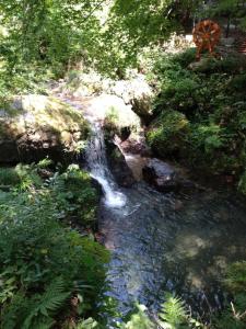 kaaburi 003
