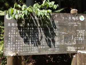 kaaburi 004
