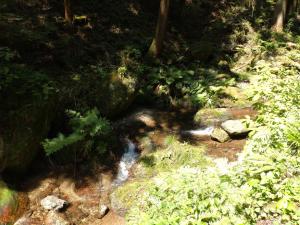 kaaburi 005
