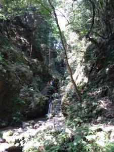 kaaburi 006