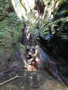 kaaburi 007