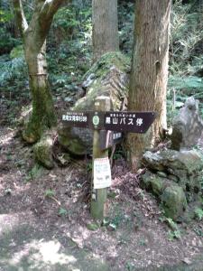 kaaburi 008