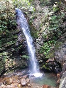 kaaburi 009