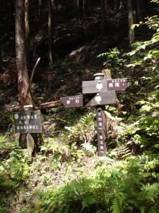 kaaburi 012