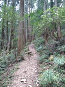 kaaburi 017