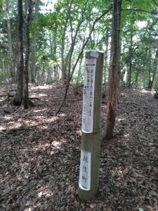 kaaburi 022