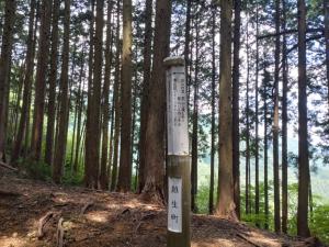kaaburi 027