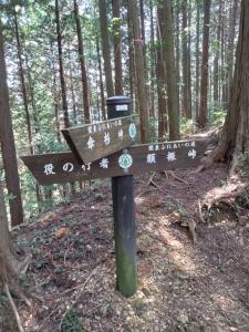 kaaburi 031