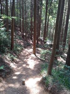 kaaburi 032