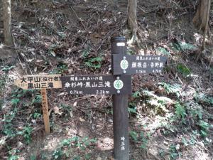 kaaburi 033