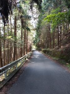 kaaburi 034