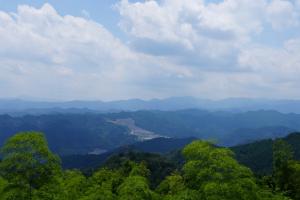 kaaburi 036