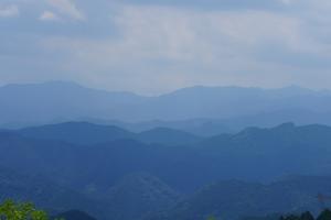 kaaburi 039