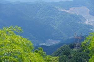 kaaburi 040