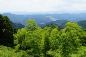 kaaburi 041
