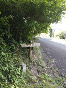 kaaburi 050
