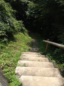 kaaburi 051