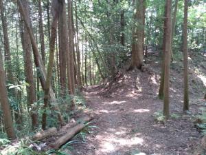 kaaburi 052