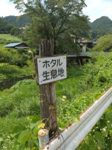 kaaburi 059