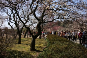 kairakuen 003