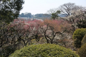 kairakuen 006