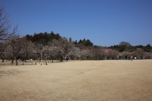 kairakuen 022