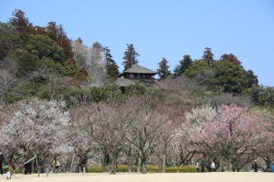kairakuen 023