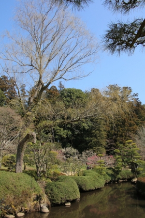 kairakuen 028