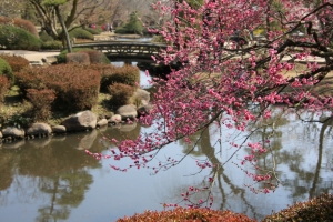 kairakuen 029
