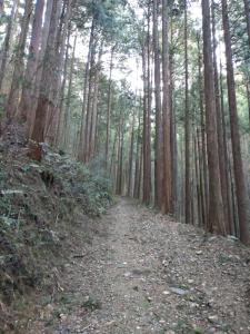 kamakita 012
