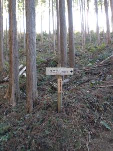 kamakita 013