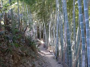 kamakita 019