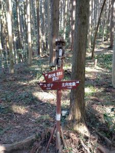 kamakita 025