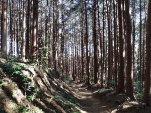 kamakita 031