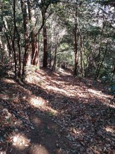 kamakita 045