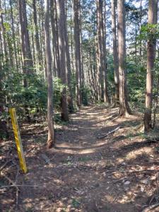 kamakita 046