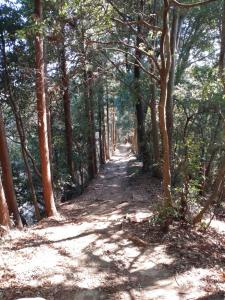 kamakita 048