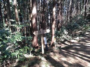 kamakita 051